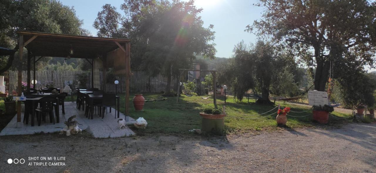 Agriturismo Poggio All'Olivo ฟอลลอนนีกา ภายนอก รูปภาพ