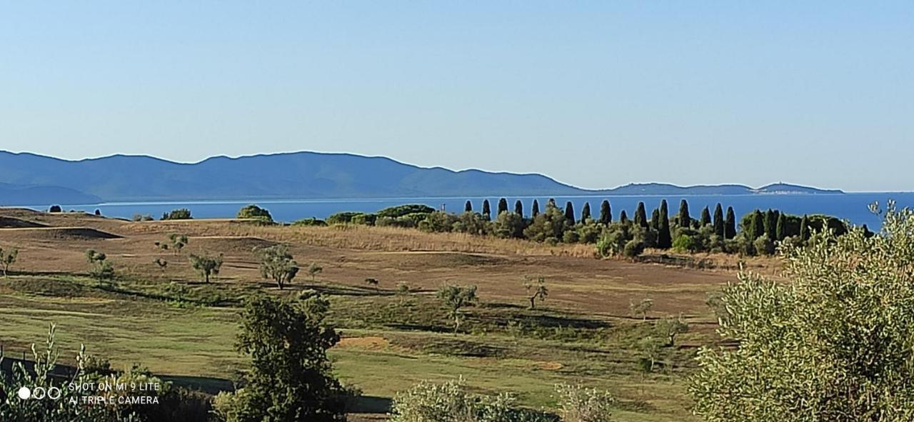 Agriturismo Poggio All'Olivo ฟอลลอนนีกา ภายนอก รูปภาพ