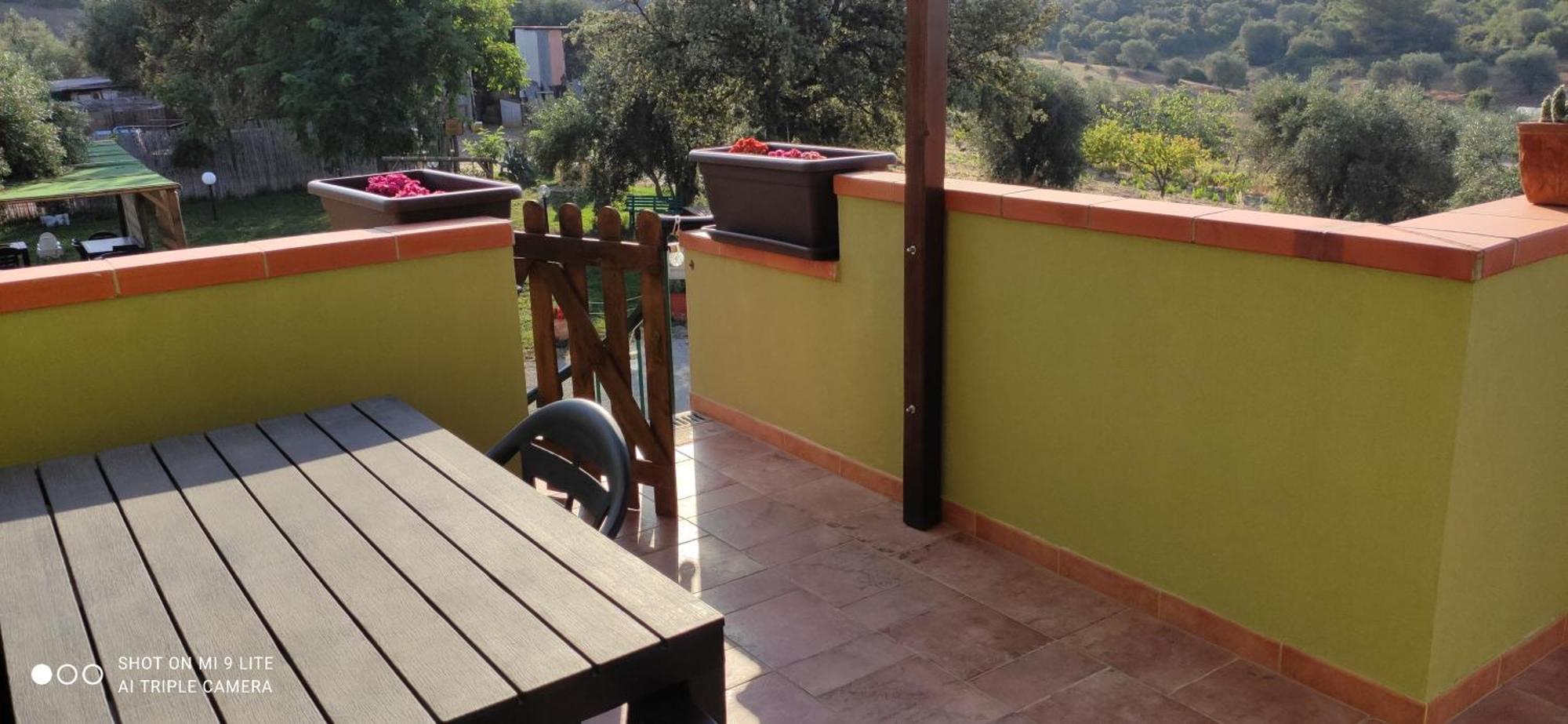 Agriturismo Poggio All'Olivo ฟอลลอนนีกา ห้อง รูปภาพ