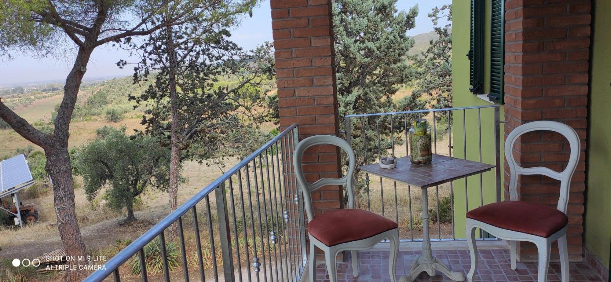 Agriturismo Poggio All'Olivo ฟอลลอนนีกา ห้อง รูปภาพ