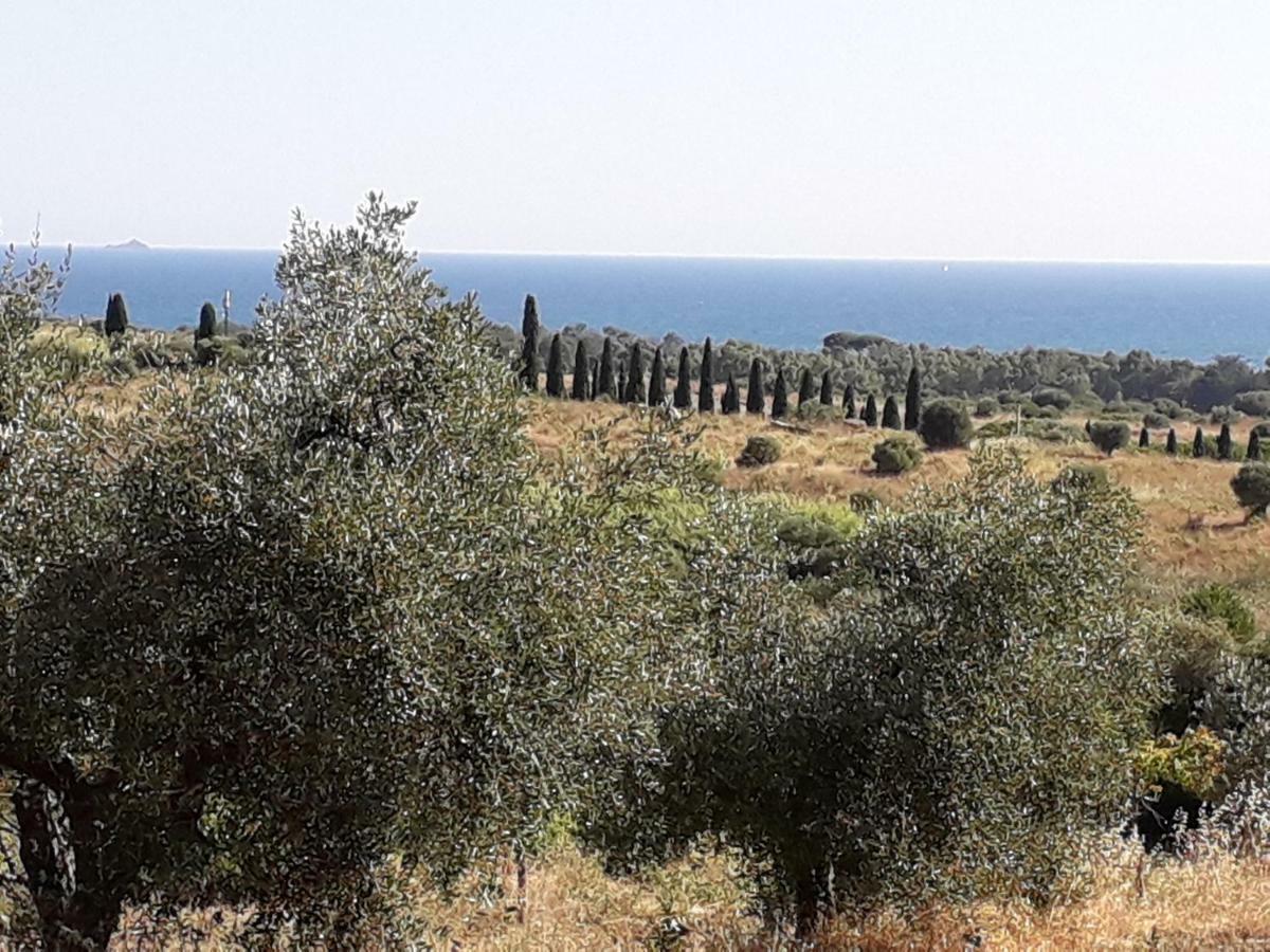 Agriturismo Poggio All'Olivo ฟอลลอนนีกา ภายนอก รูปภาพ
