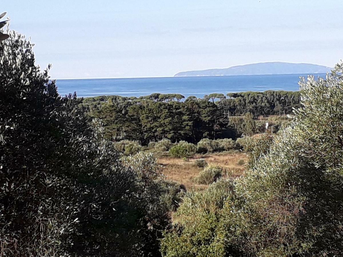Agriturismo Poggio All'Olivo ฟอลลอนนีกา ภายนอก รูปภาพ